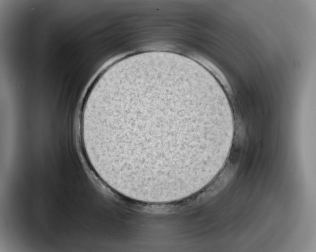 X0000086911000200705141659