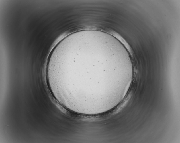 X0000086911002200705141659