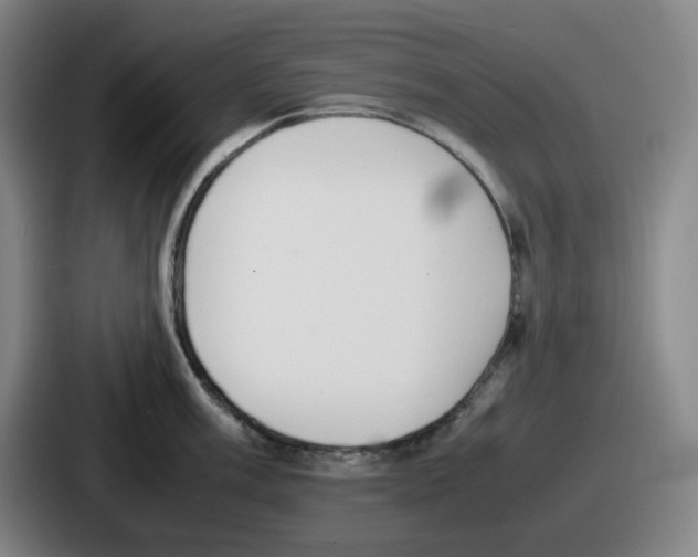 X0000086911003200705141659