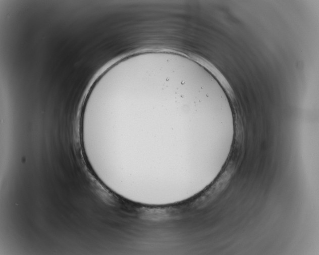 X0000086911004200705141659