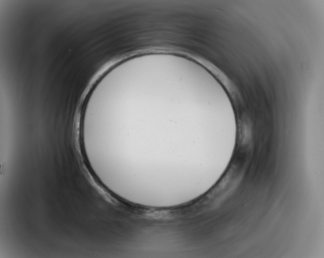 X0000086911006200705141659