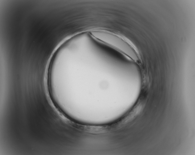 X0000086911007200705141659