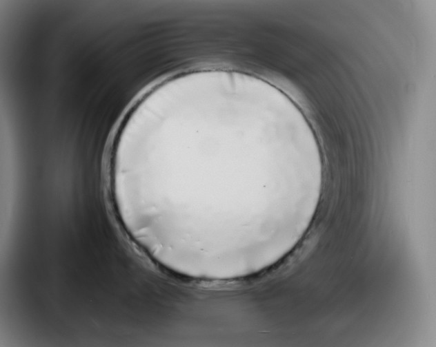 X0000086911008200705141659