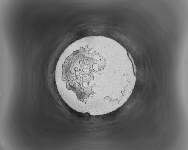 X0000086911009200705141658