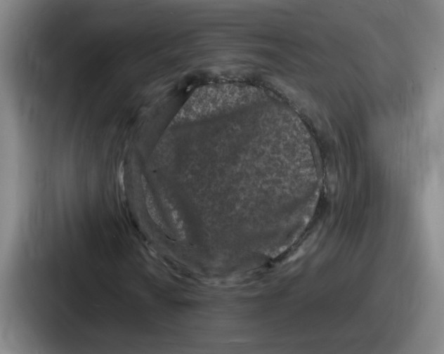 X0000086911010200705141658