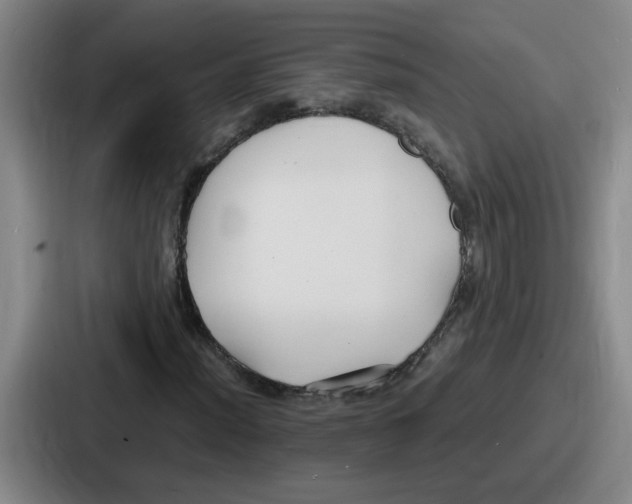 X0000086911012200705141658