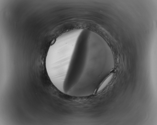 X0000086911013200705141658