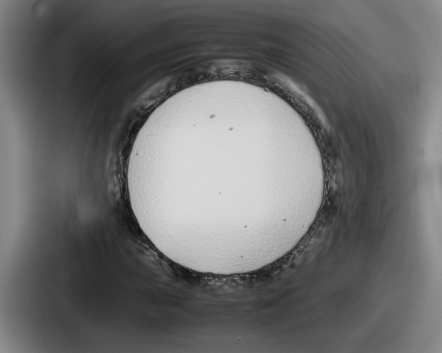 X0000086911015200705141658