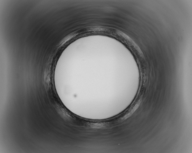 X0000086911017200705141658