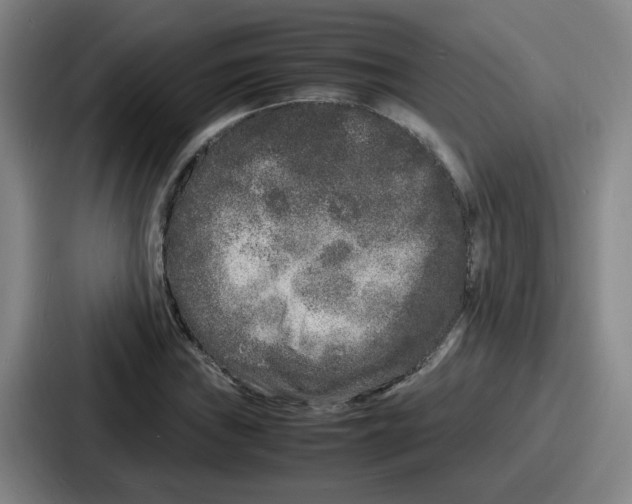 X0000086911019200705141658