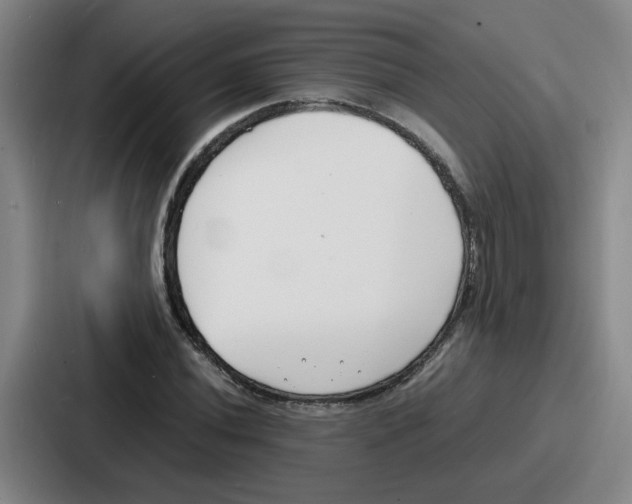 X0000086911020200705141658