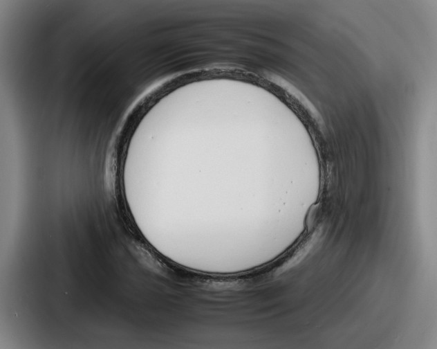 X0000086911021200705141658