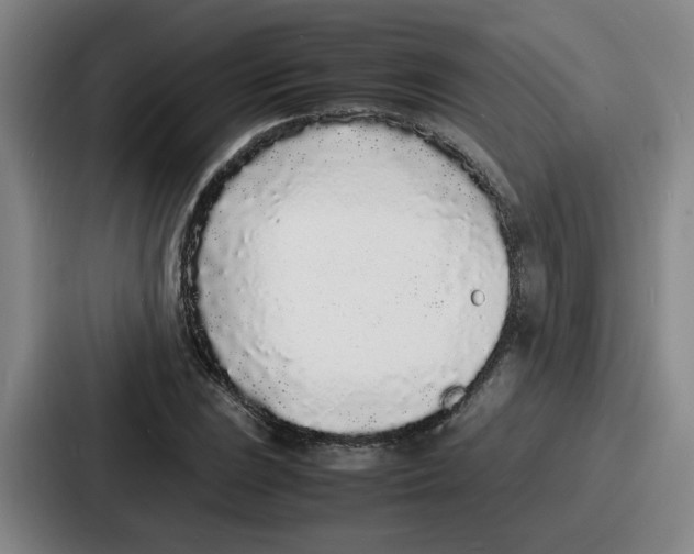 X0000086911023200705141658