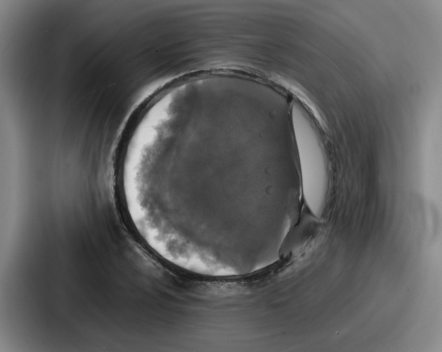 X0000086911024200705141658