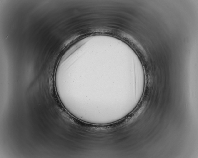 X0000086911025200705141658