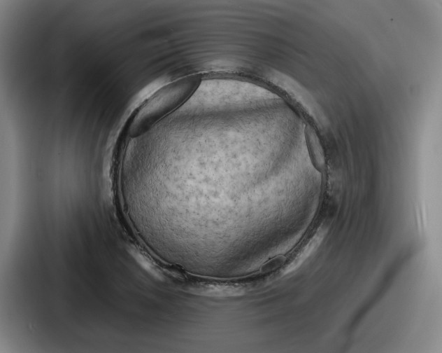 X0000086911026200705141658