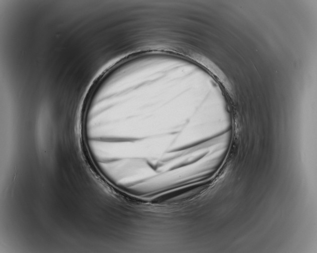 X0000086911028200705141658