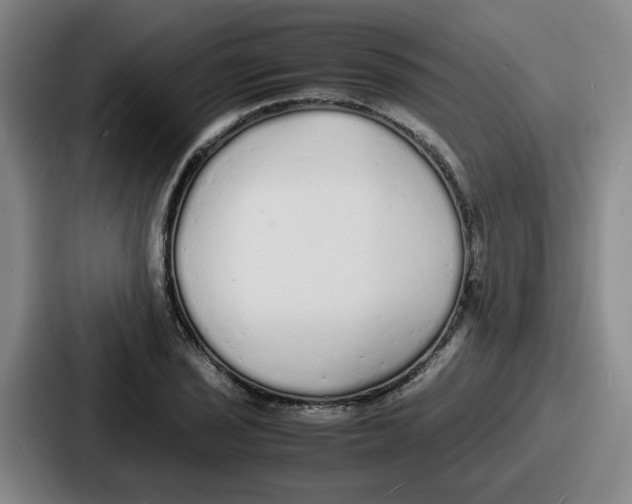 X0000086911029200705141658