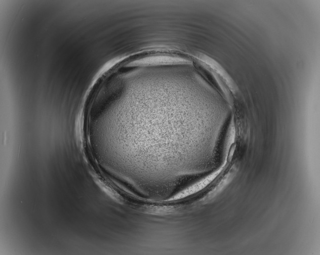 X0000086911030200705141658