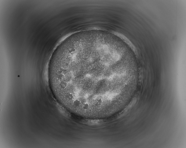 X0000086911031200705141658