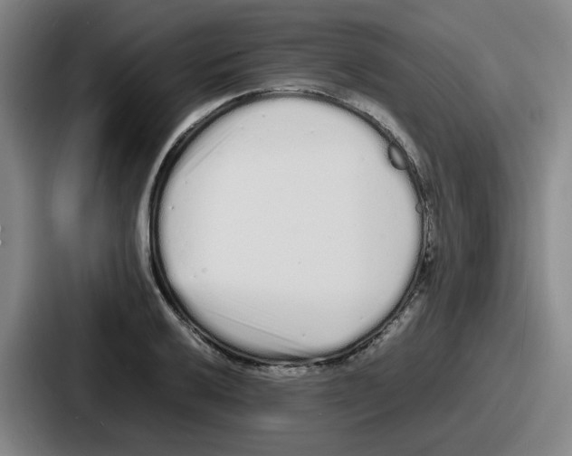 X0000086911032200705141658