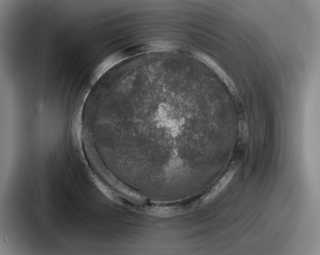 X0000086911034200705141658