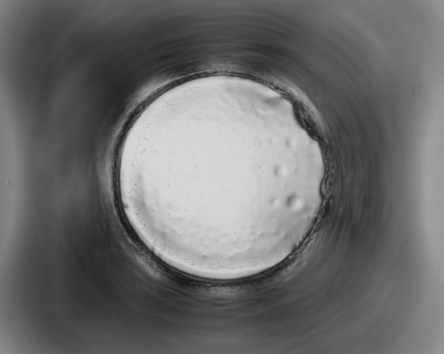 X0000086911035200705141658