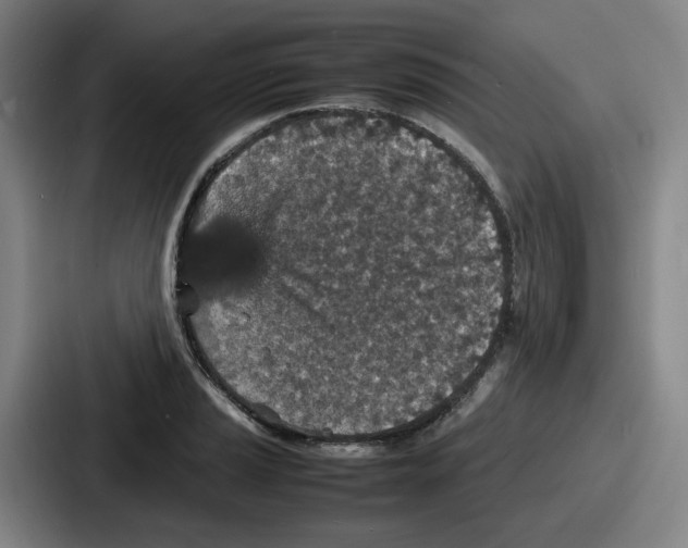 X0000086911037200705141658