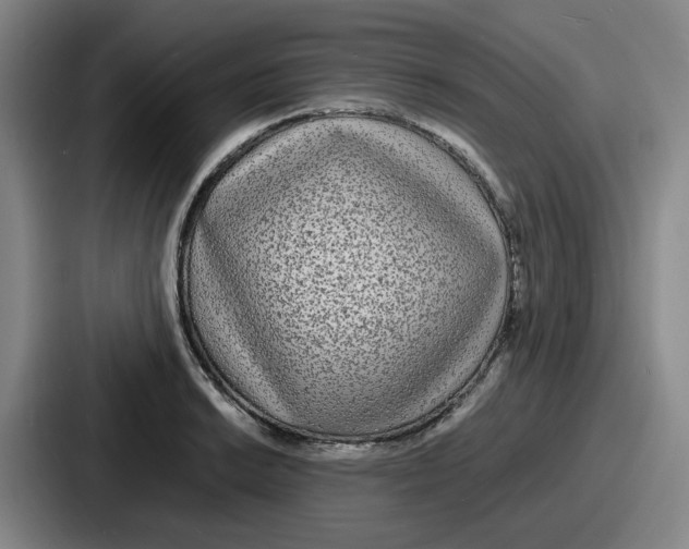 X0000086911038200705141658