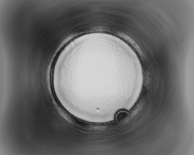 X0000086911039200705141658