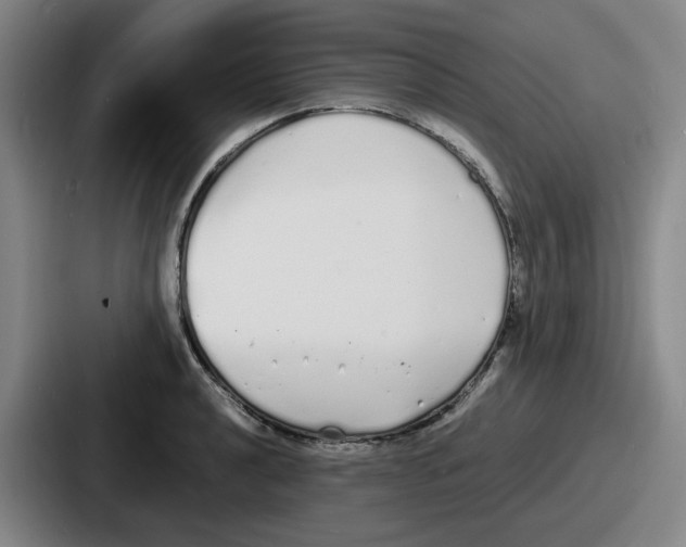 X0000086911040200705141658