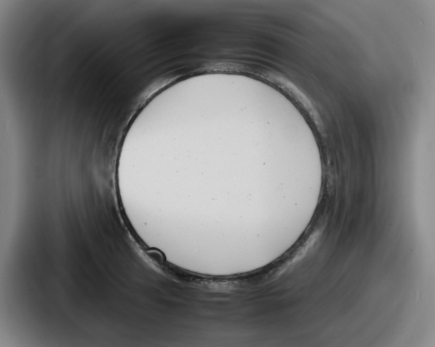 X0000086911041200705141658