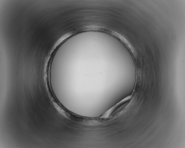 X0000086911042200705141658