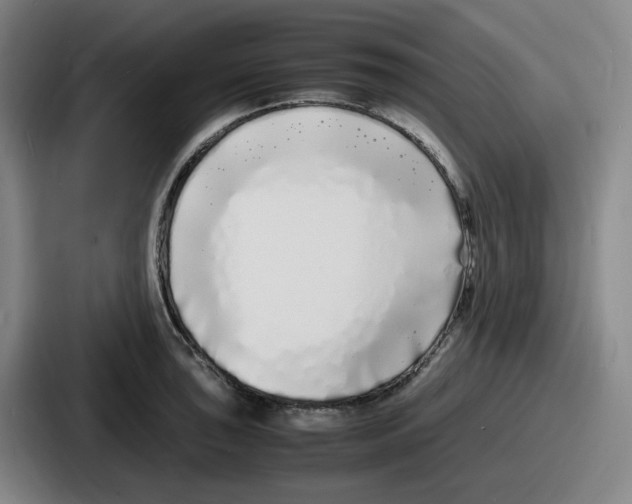 X0000086911043200705141658