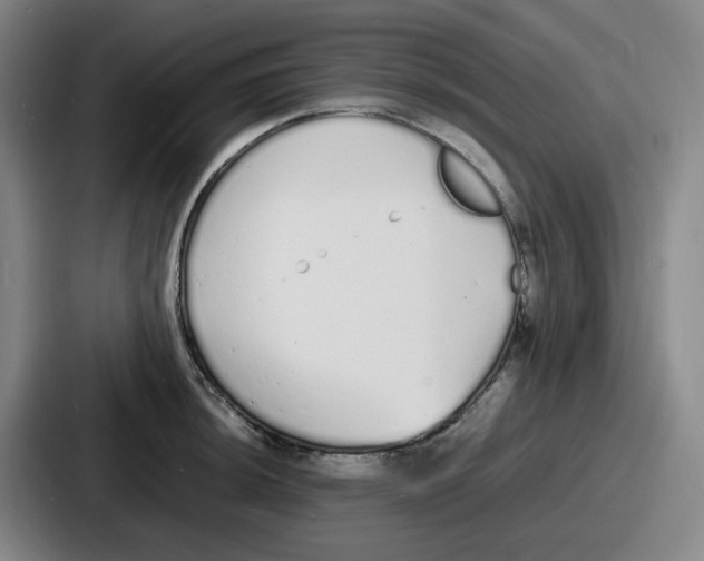 X0000086911044200705141658