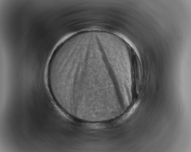 X0000086911045200705141658