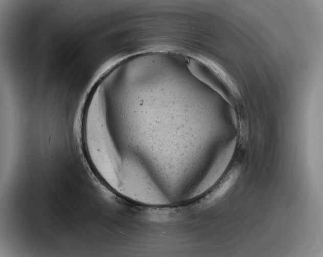 X0000086911046200705141658