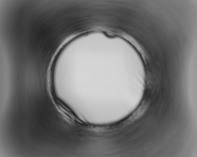 X0000086911048200705141658