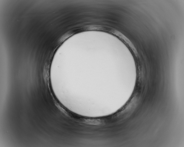 X0000086911049200705141658