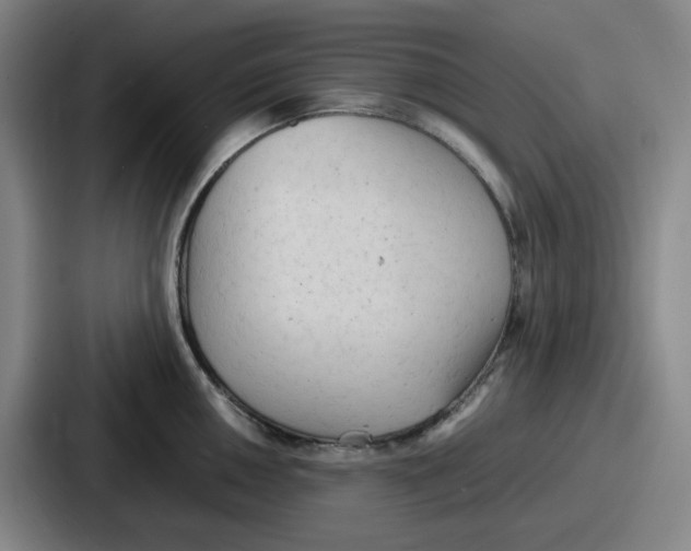 X0000086911050200705141658