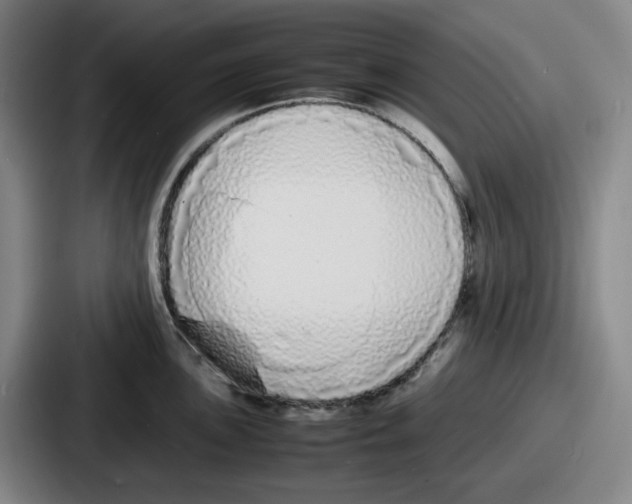 X0000086911051200705141658