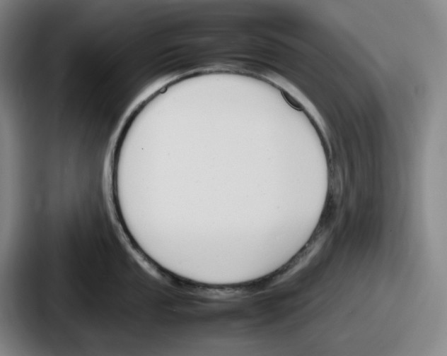 X0000086911053200705141658