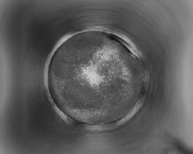 X0000086911054200705141658