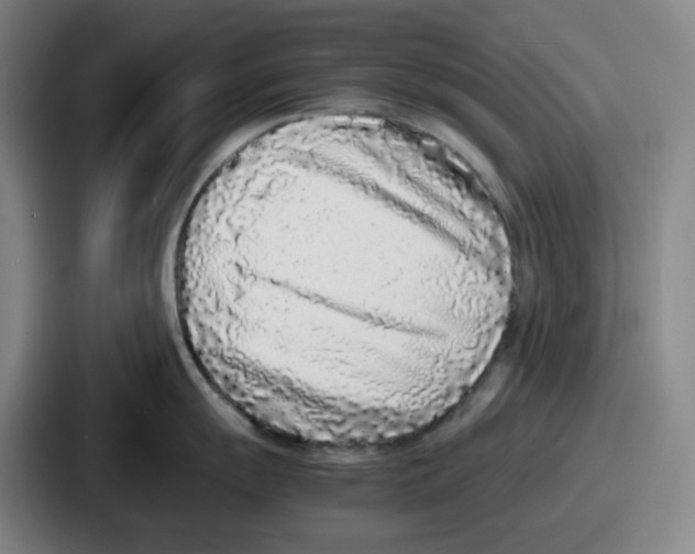 X0000086911055200705141658