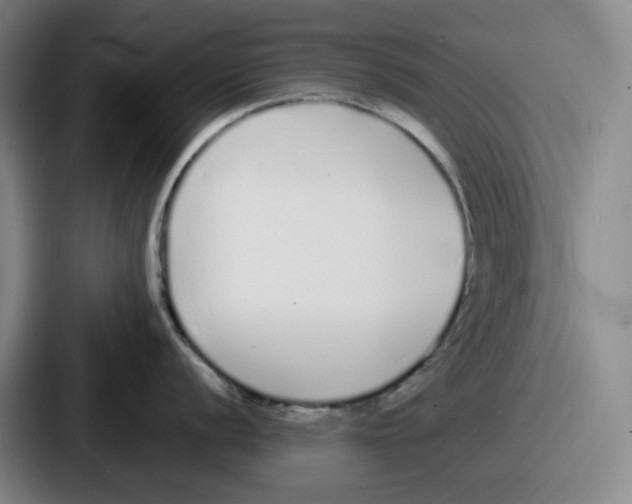 X0000086911056200705141658