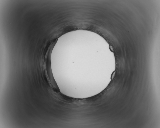 X0000086911058200705141658