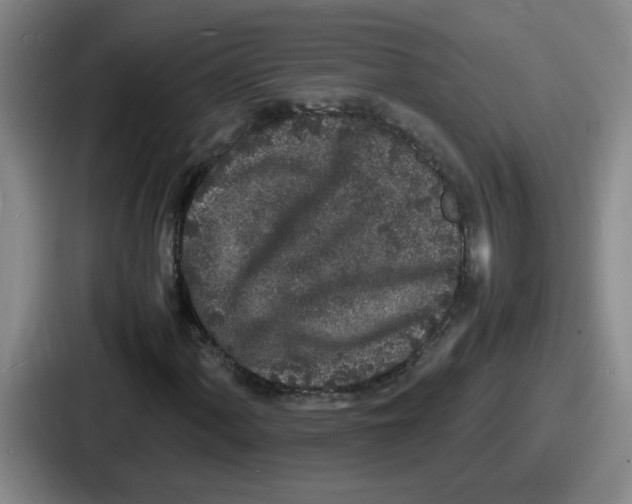 X0000086911060200705141658