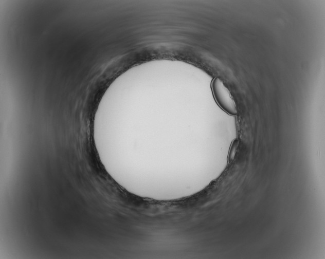 X0000086911061200705141658