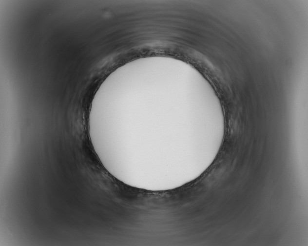 X0000086911062200705141658