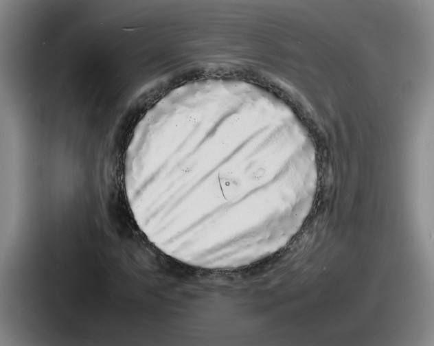 X0000086911063200705141658